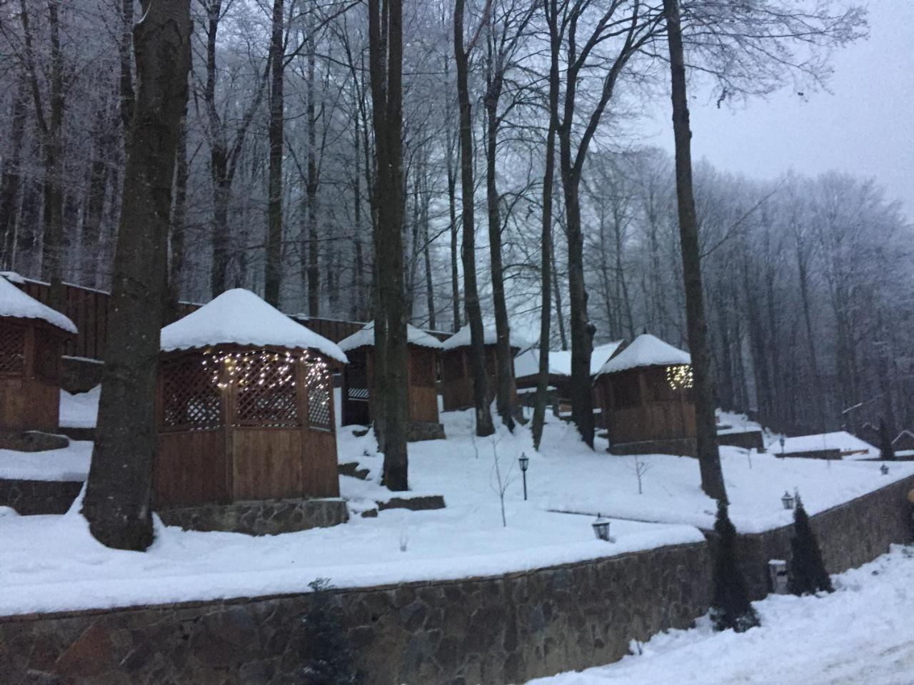 Hotel Sadyba Sribne Dzherelo Ilnytsya Zewnętrze zdjęcie